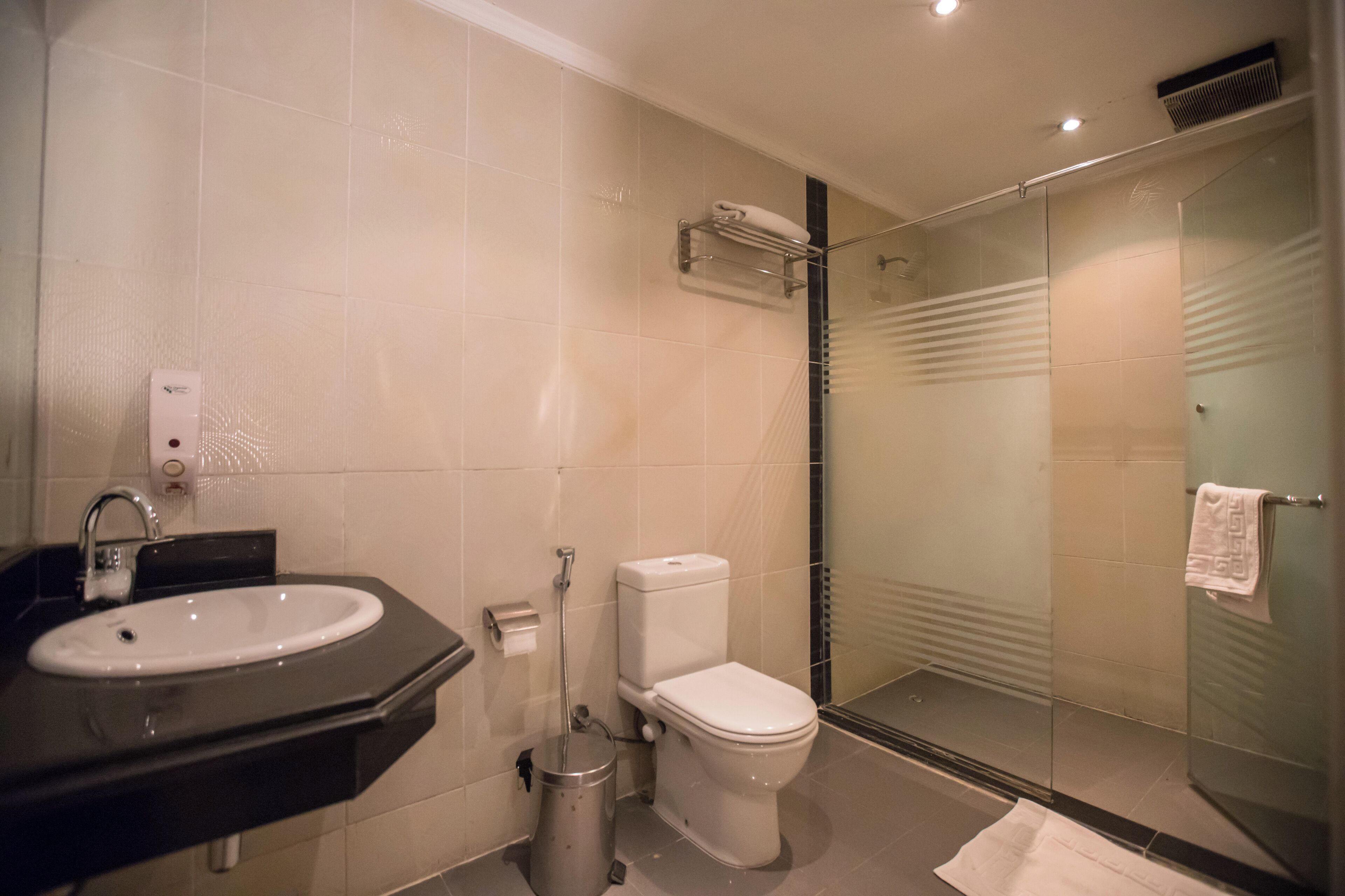 Een moderne badkamer met een douche met glazen wand, een wit wastafeltje en een toilet.