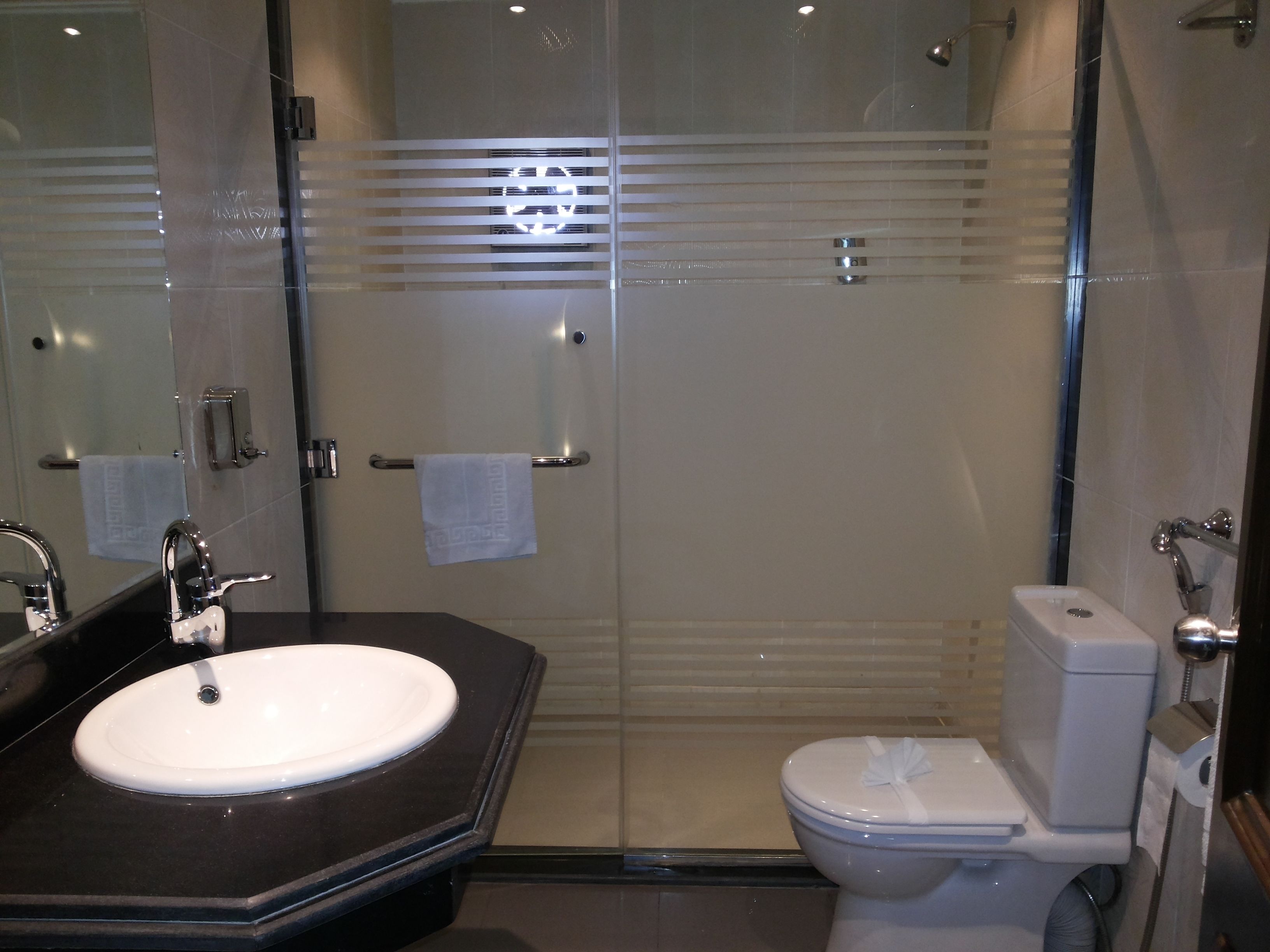 Une salle de bain moderne avec un lavabo blanc, des toilettes et une douche à parois de verre.