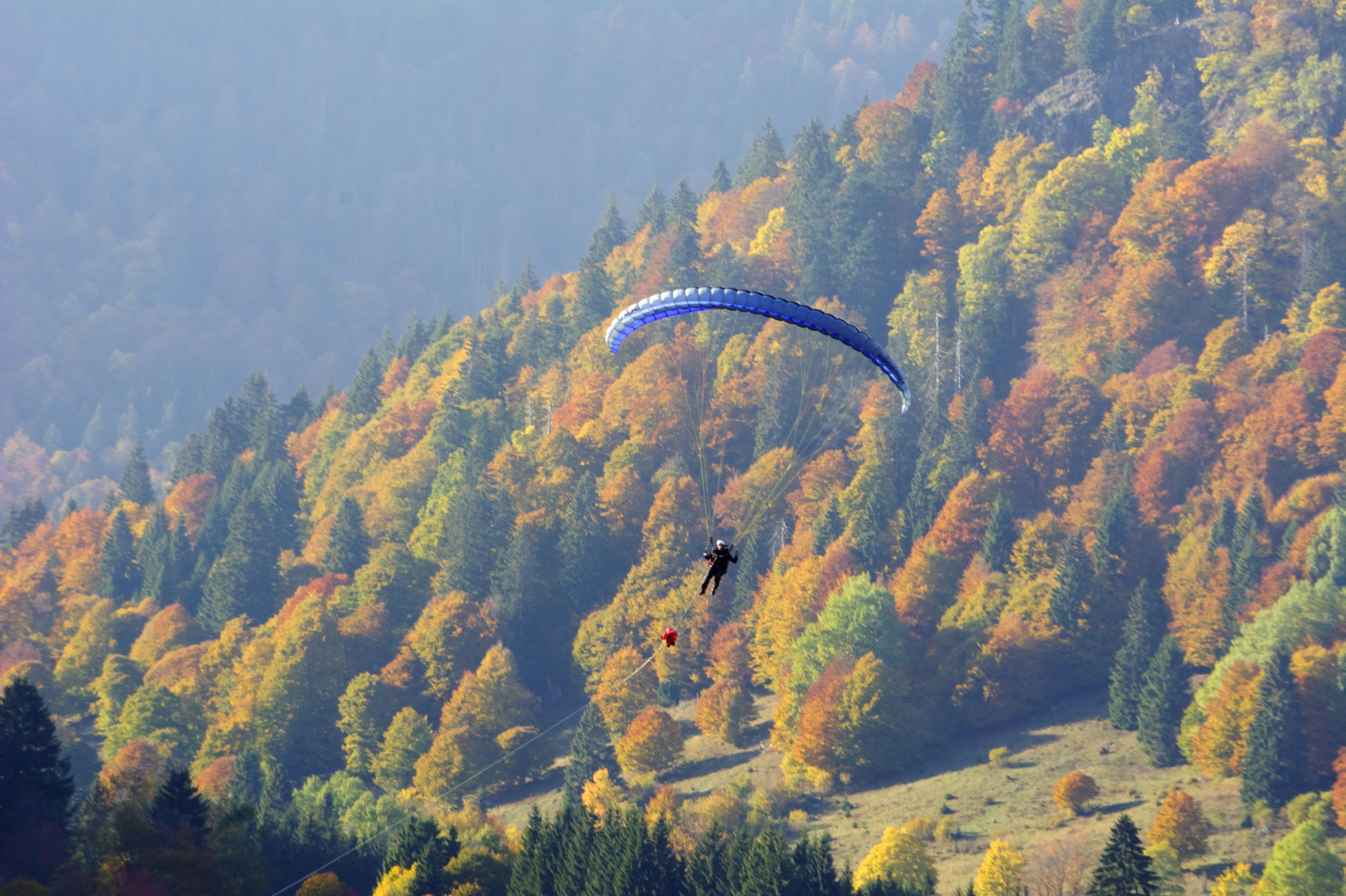 A person paragliding over a forested area with autumn foliage.