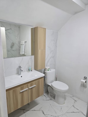 Economy Studio | Bathroom | Rainfall showerhead, free toiletries, towels, soap - The Gardens (Kingston)