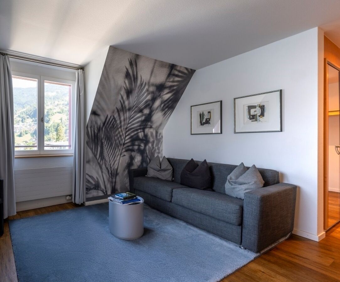 suite, lake view | living area | 32-inch tv with cable channels, dvd player