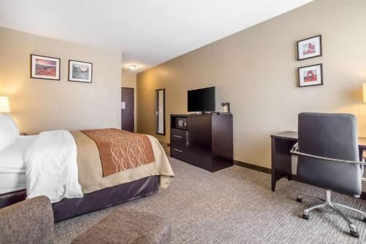 Una habitación de hotel con cama, escritorio, silla, televisor y cuadros en las paredes.