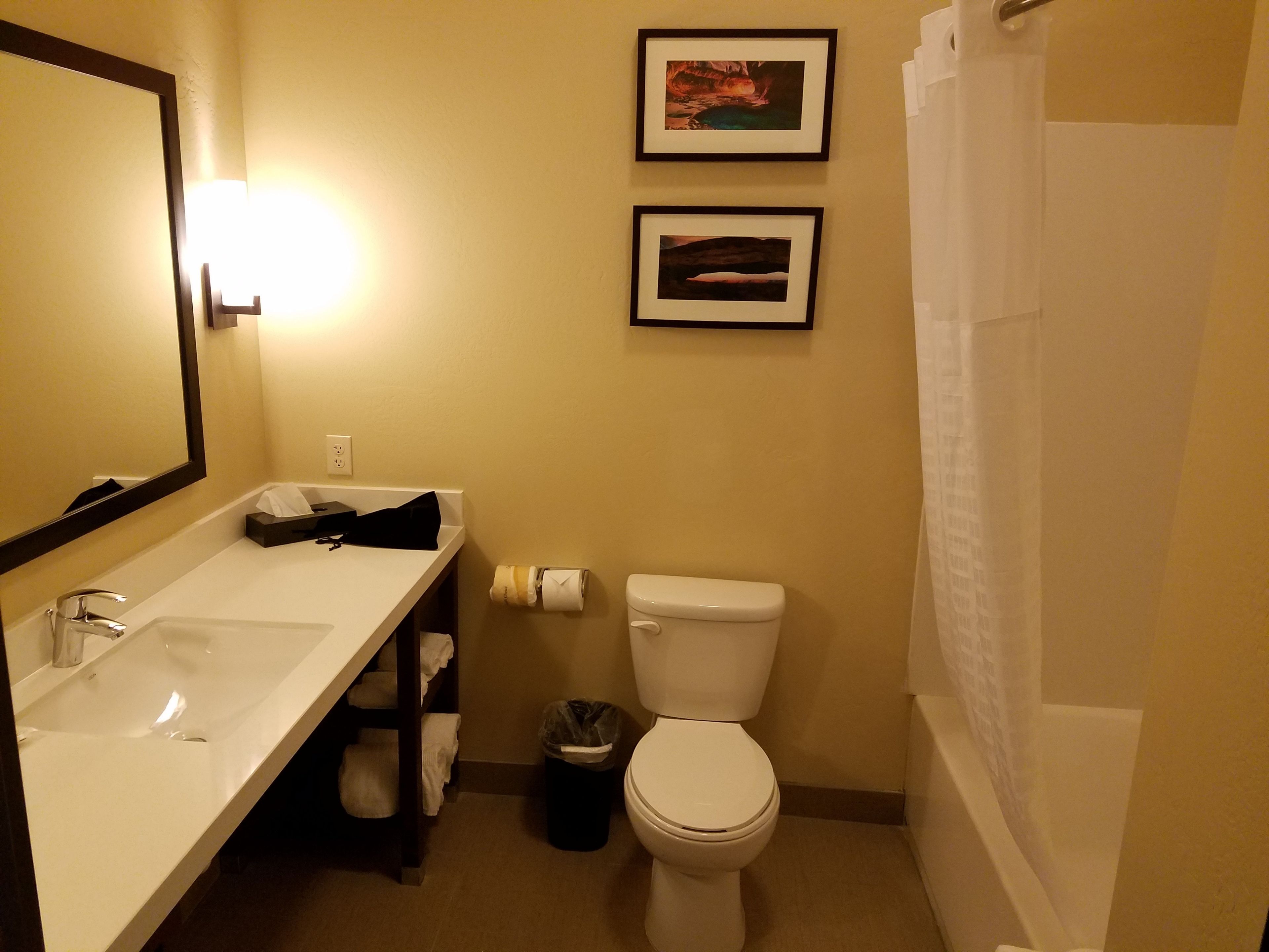 combined shower/bathtub, free toiletries, hair dryer, towels