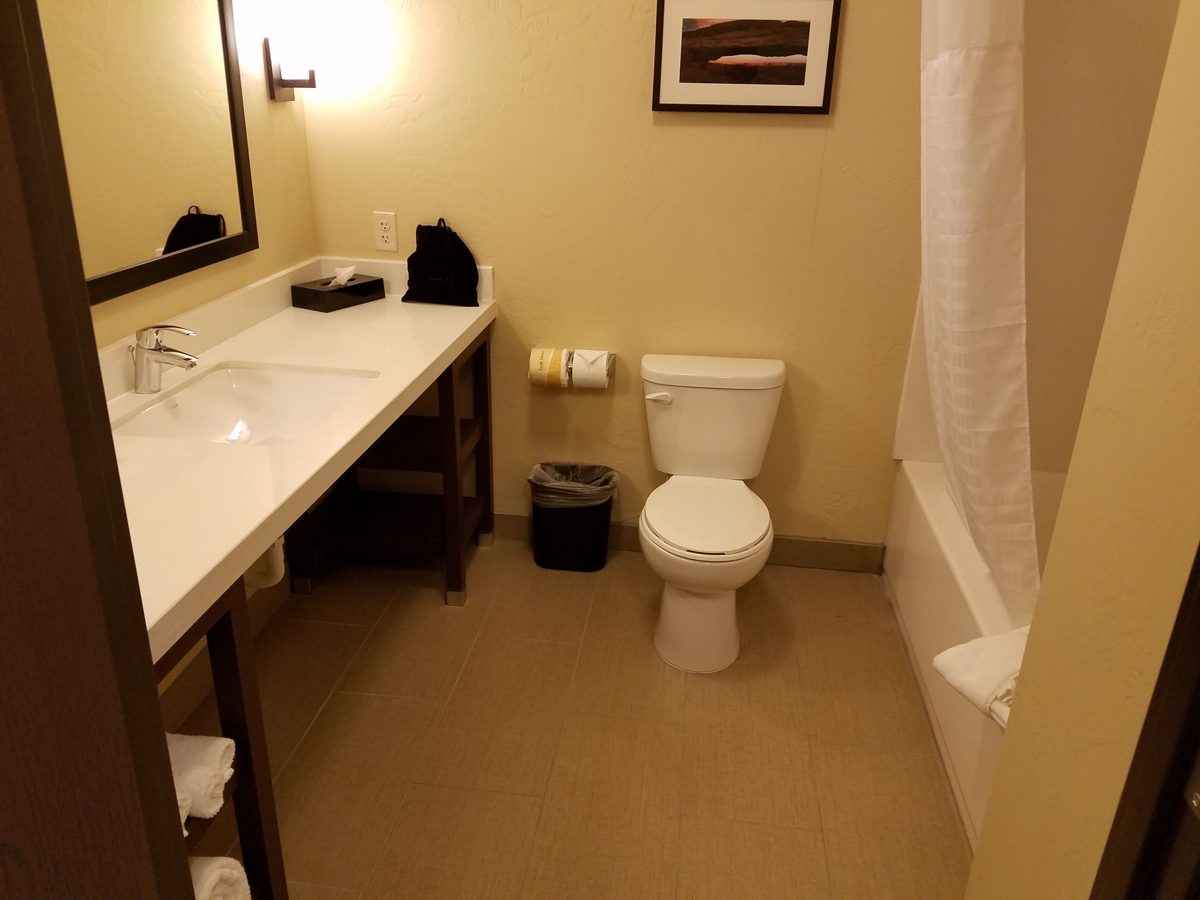 combined shower/bathtub, free toiletries, hair dryer, towels