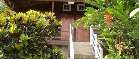 Une cabane en bois avec un toit vert, un escalier en bois menant à une porte, et une végétation luxuriante qui entoure la propriété.