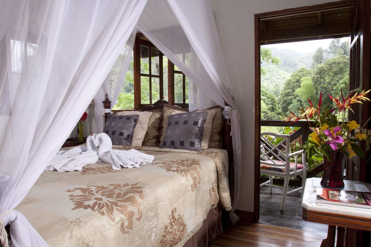 A bed with a canopy, a wooden chair, a table with a vase, and a view of greenery outside.