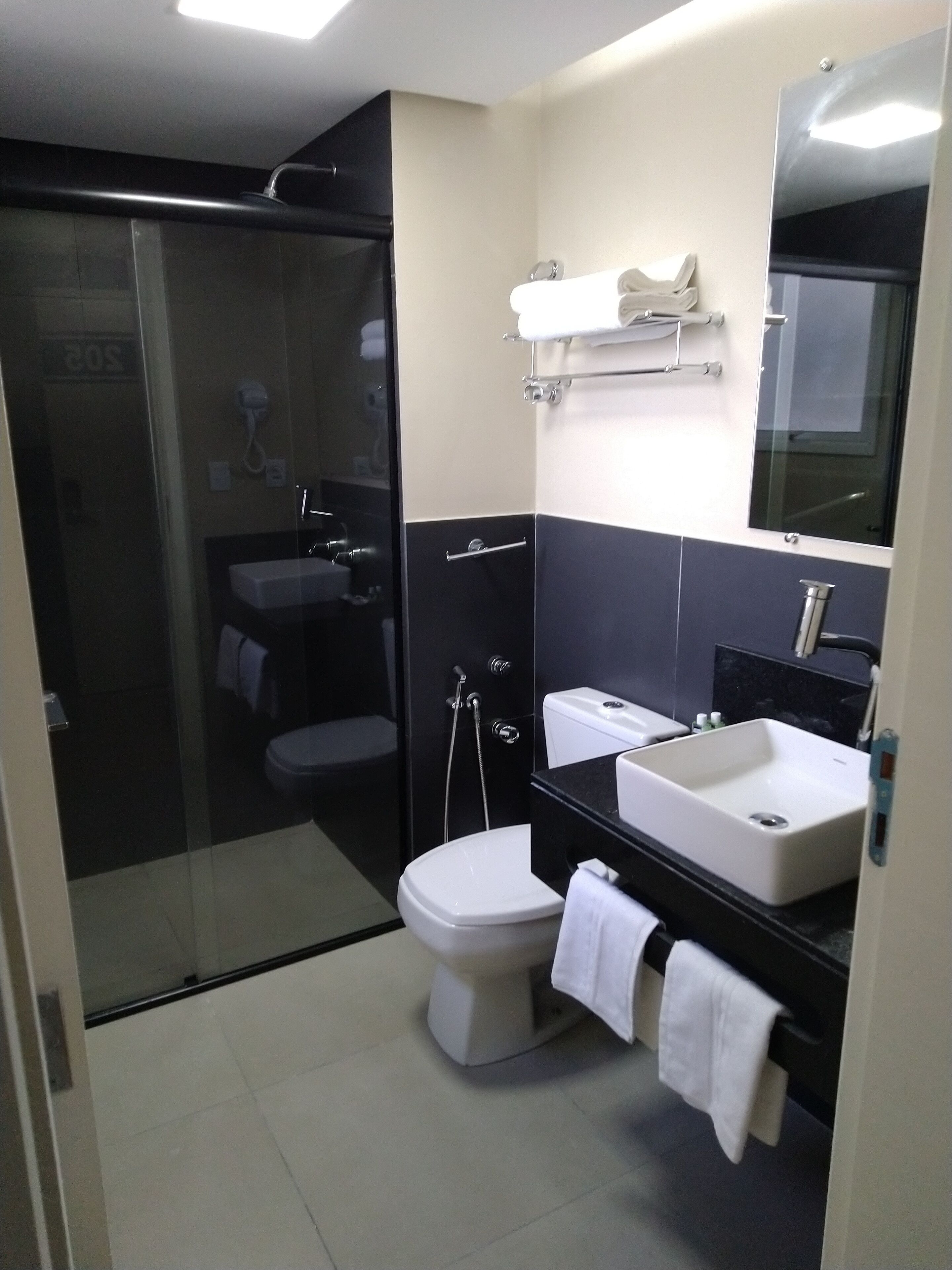 A modern bathroom with a glass-enclosed shower, a white toilet, a black sink, and a mirror above the sink.