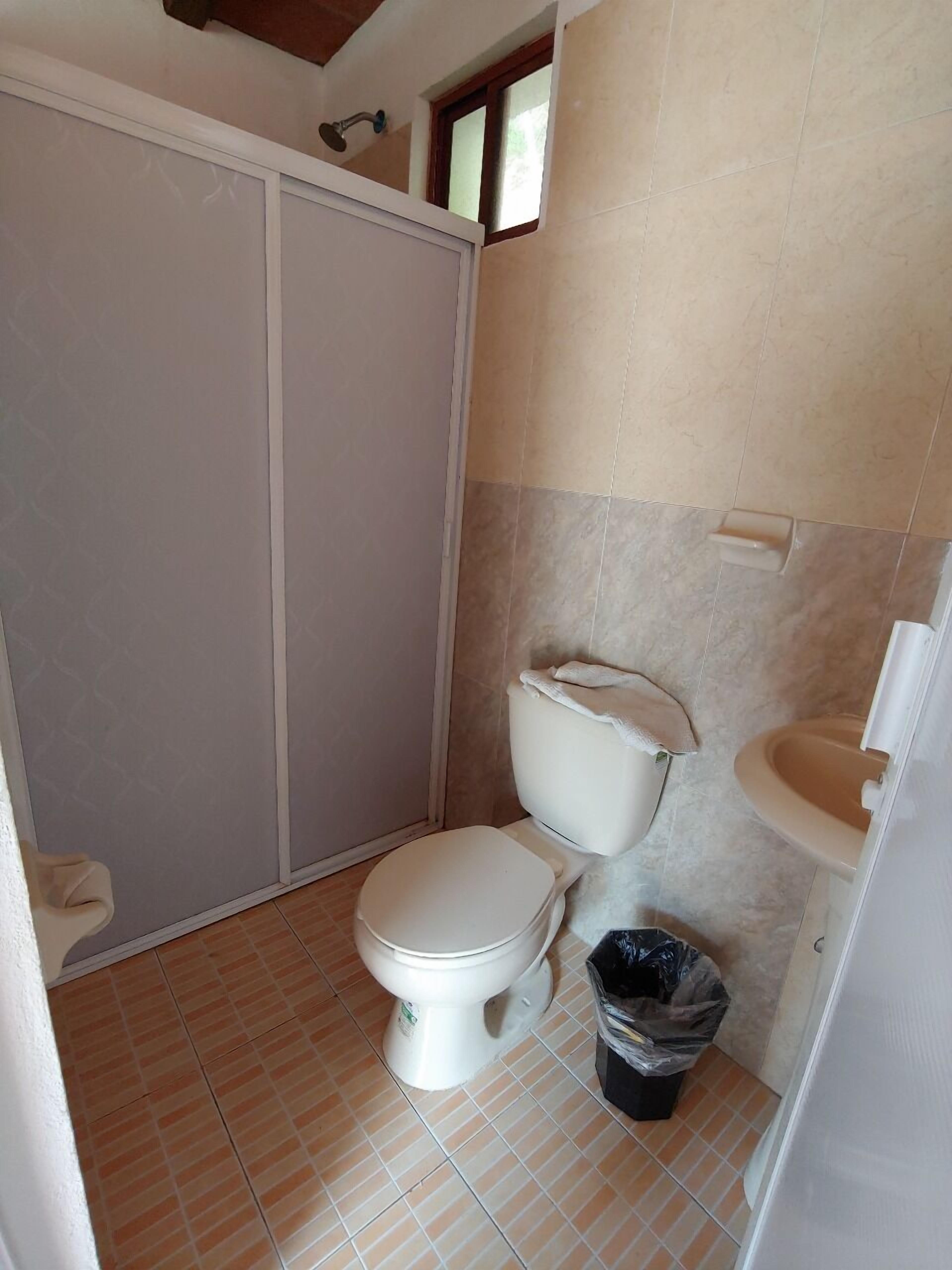 basic room | bathroom | shower, rainfall showerhead, soap, shampoo