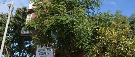 Vue depuis l’hébergement