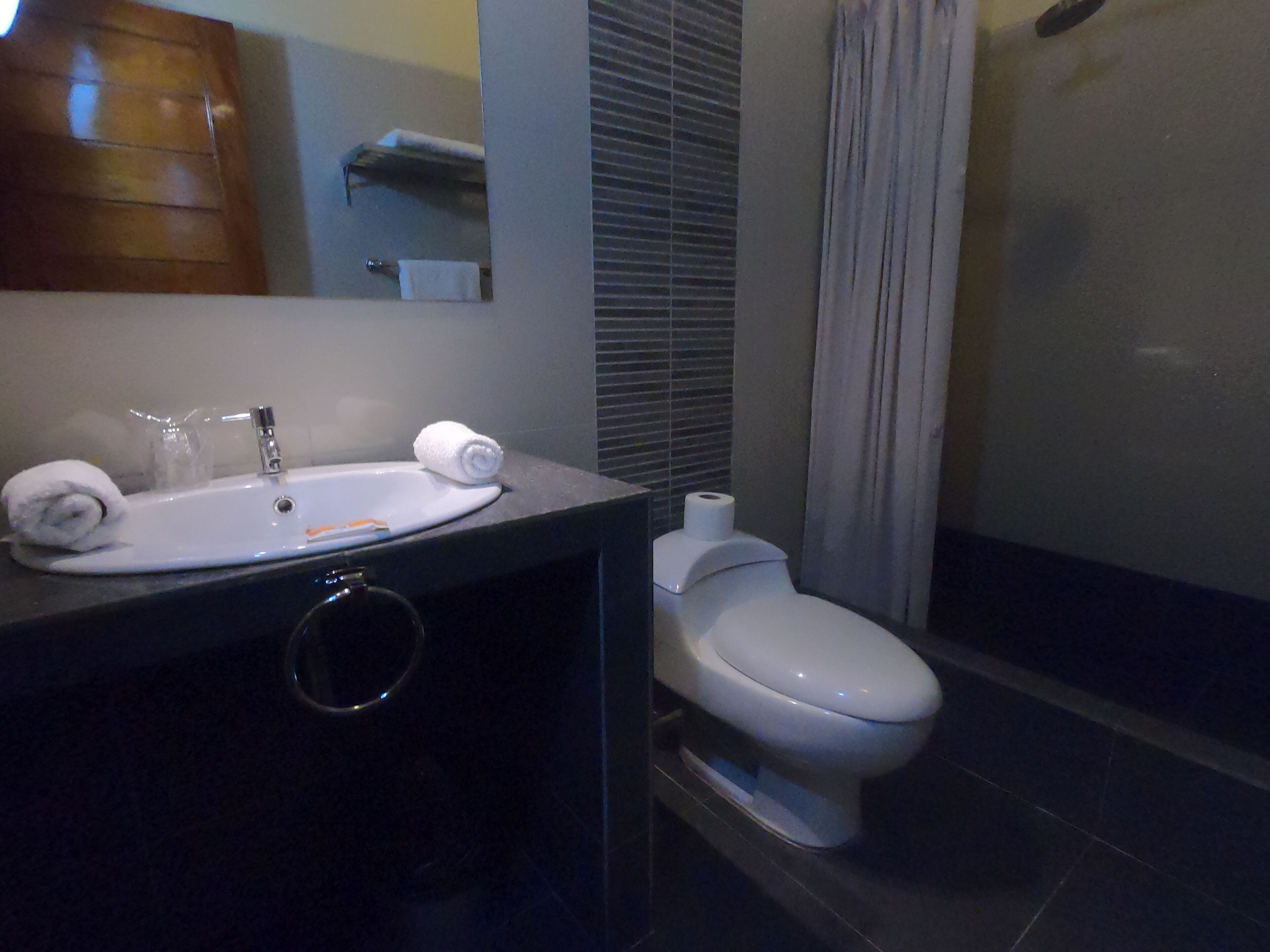 twin room, 2 double beds | bathroom | rainfall showerhead, free toiletries, hair dryer, towels