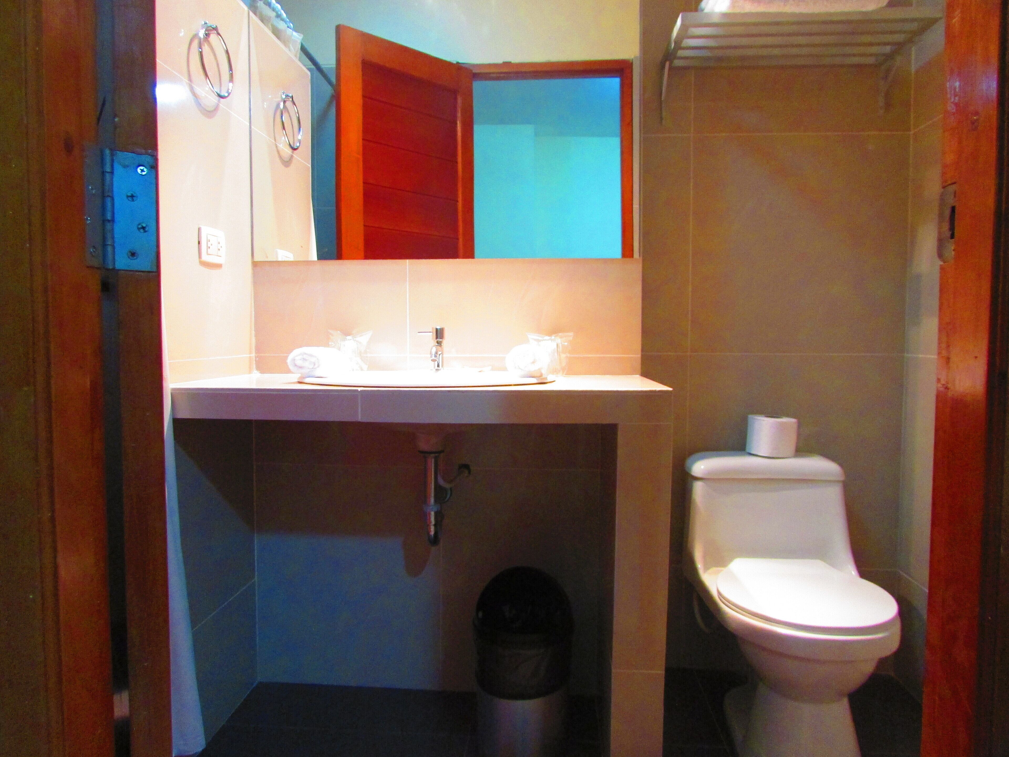 basic room, 1 double bed | bathroom | rainfall showerhead, free toiletries, hair dryer, towels