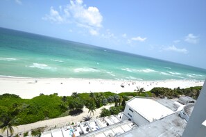 Vista desde la propiedad