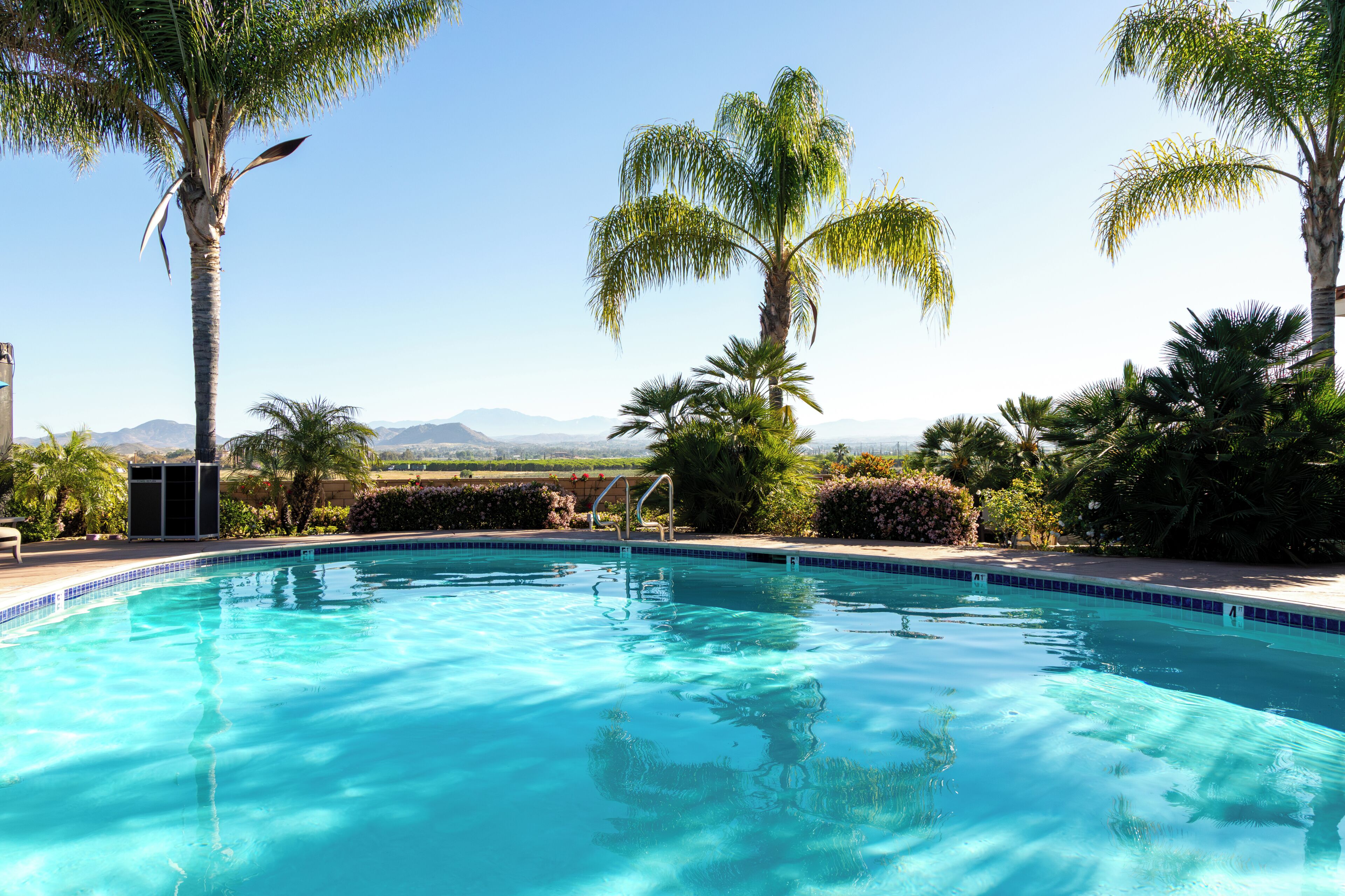A clear blue swimming pool surrounded by palm trees and a view of distant mountains.