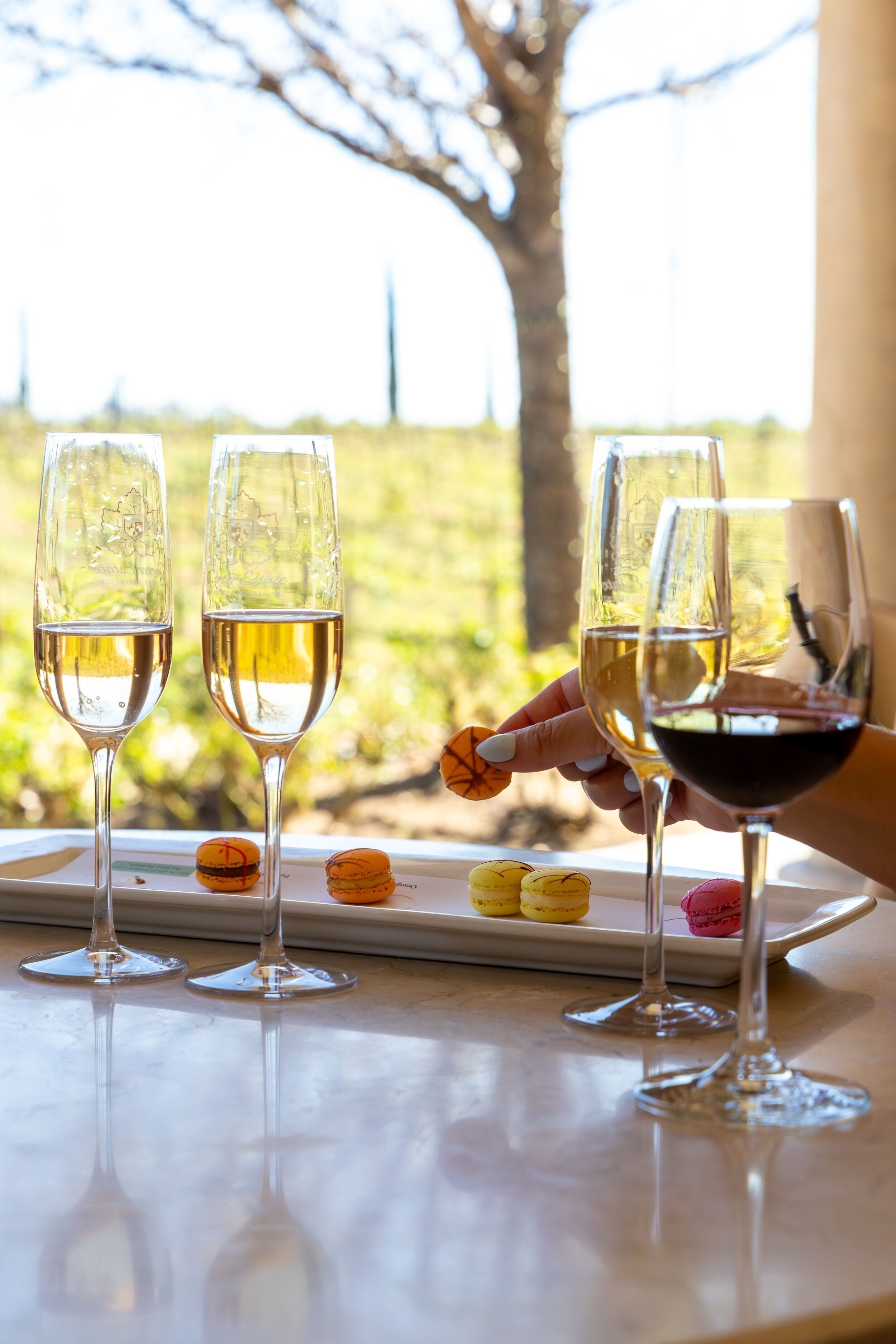 Three wine glasses on a table with a view of a tree and a vineyard in the background.