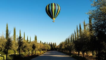 A hot air balloon flying over a tree-lined road.