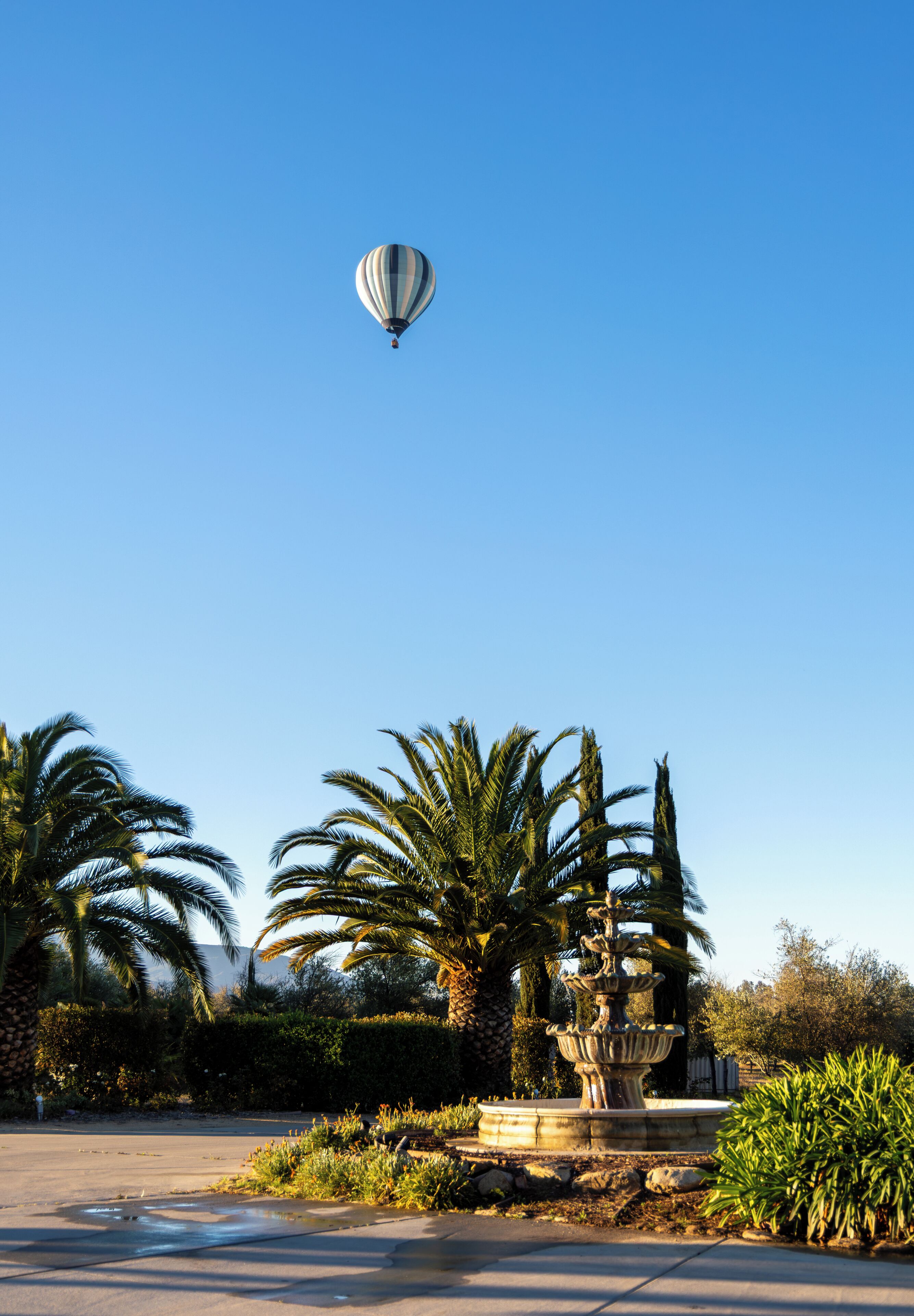 Eine Heißluftballon im Himmel, Palmen und ein Springbrunnen in einem Park.