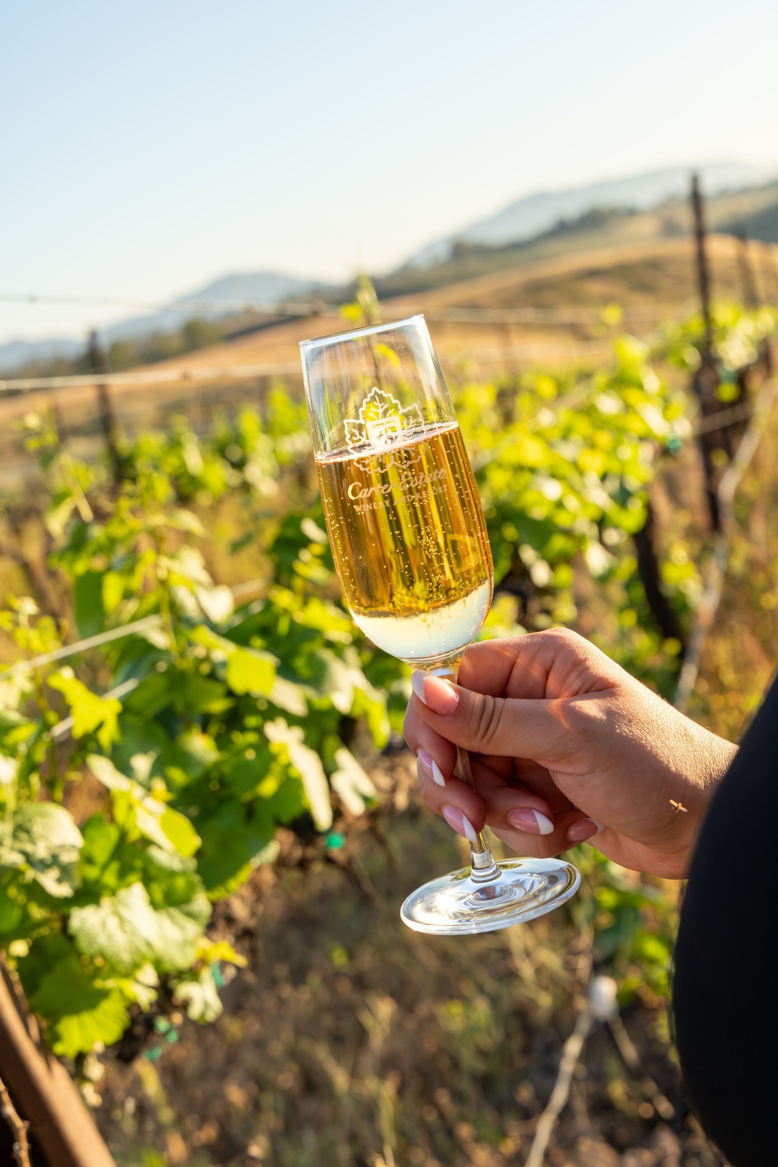 Photo - Carter Estate Winery and Resort