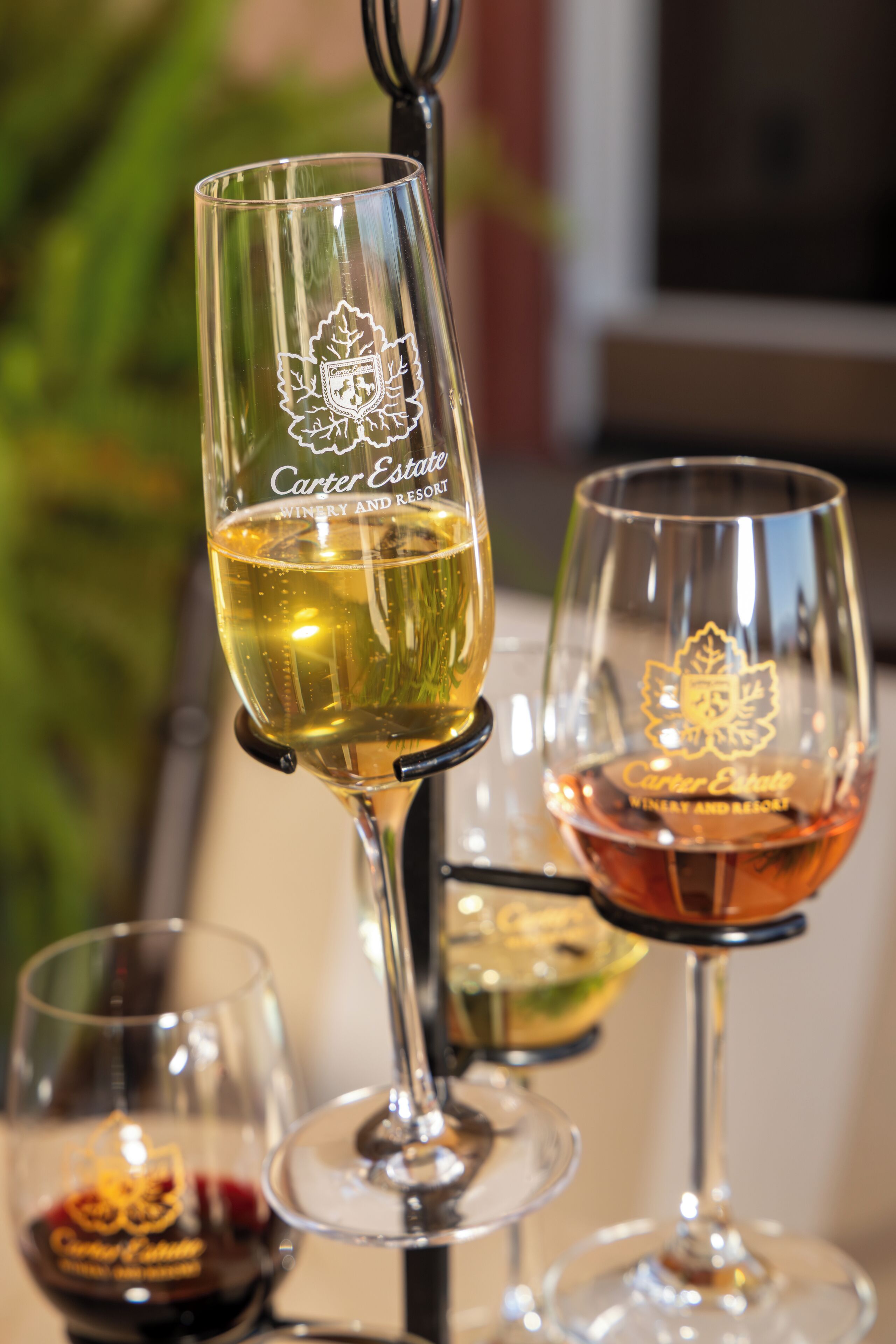 Three wine glasses with Carter Estate branding, one with white wine and another with red wine, on a table.
