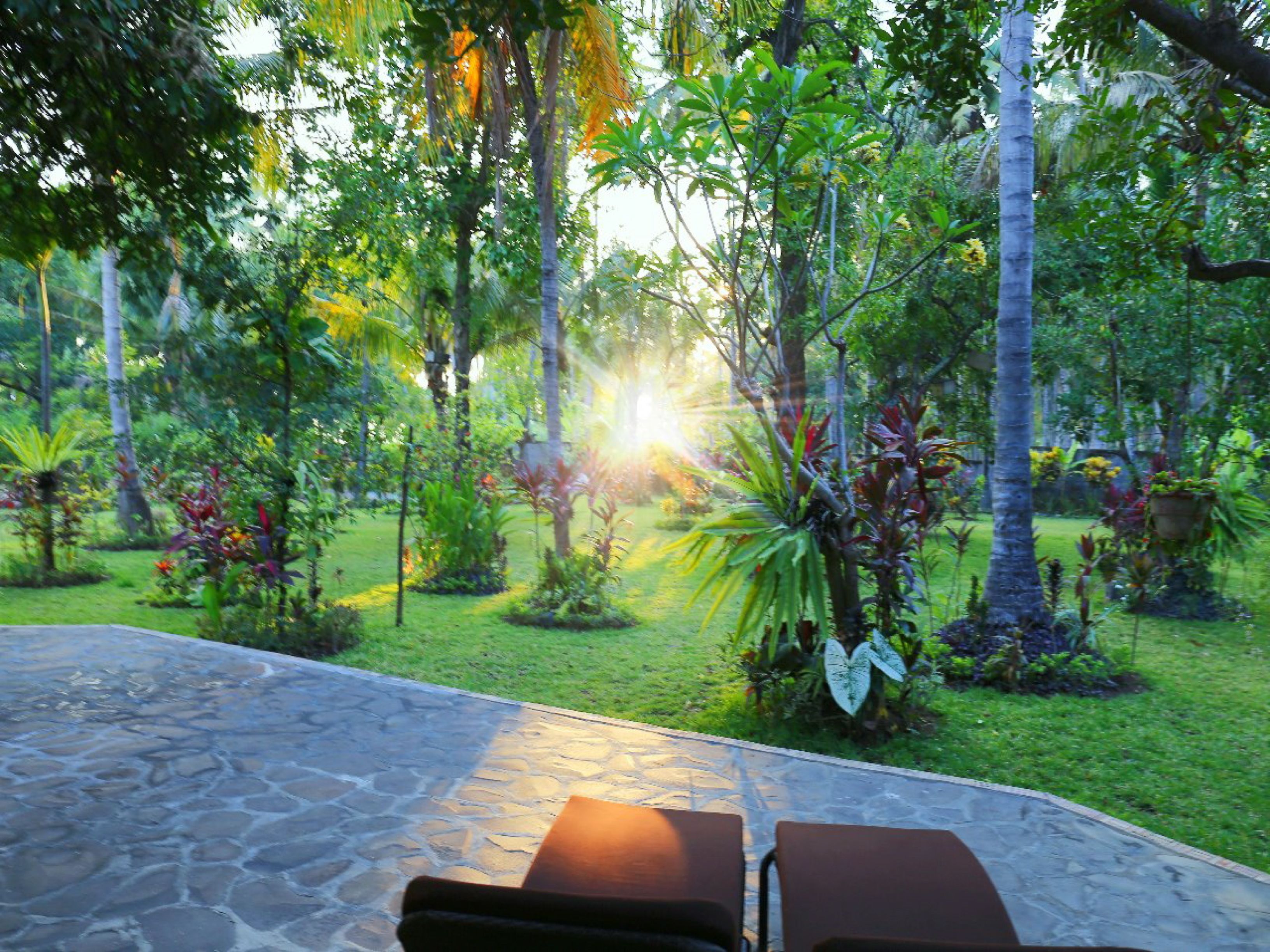 A stone patio with two brown lounge chairs facing a lush garden with various plants and trees.