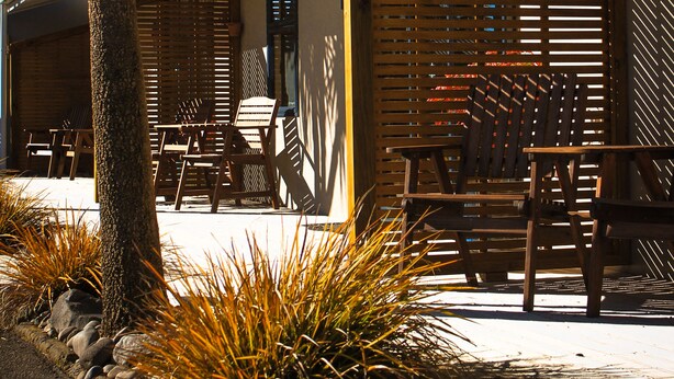 A covered outdoor seating area with wooden furniture and a palm tree. - New Plymouth Top 10 Holiday Park (New Plymouth)
