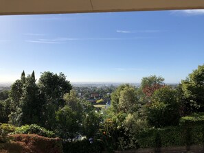 A view from a window overlooking a cityscape with dense greenery and a clear blue sky.
