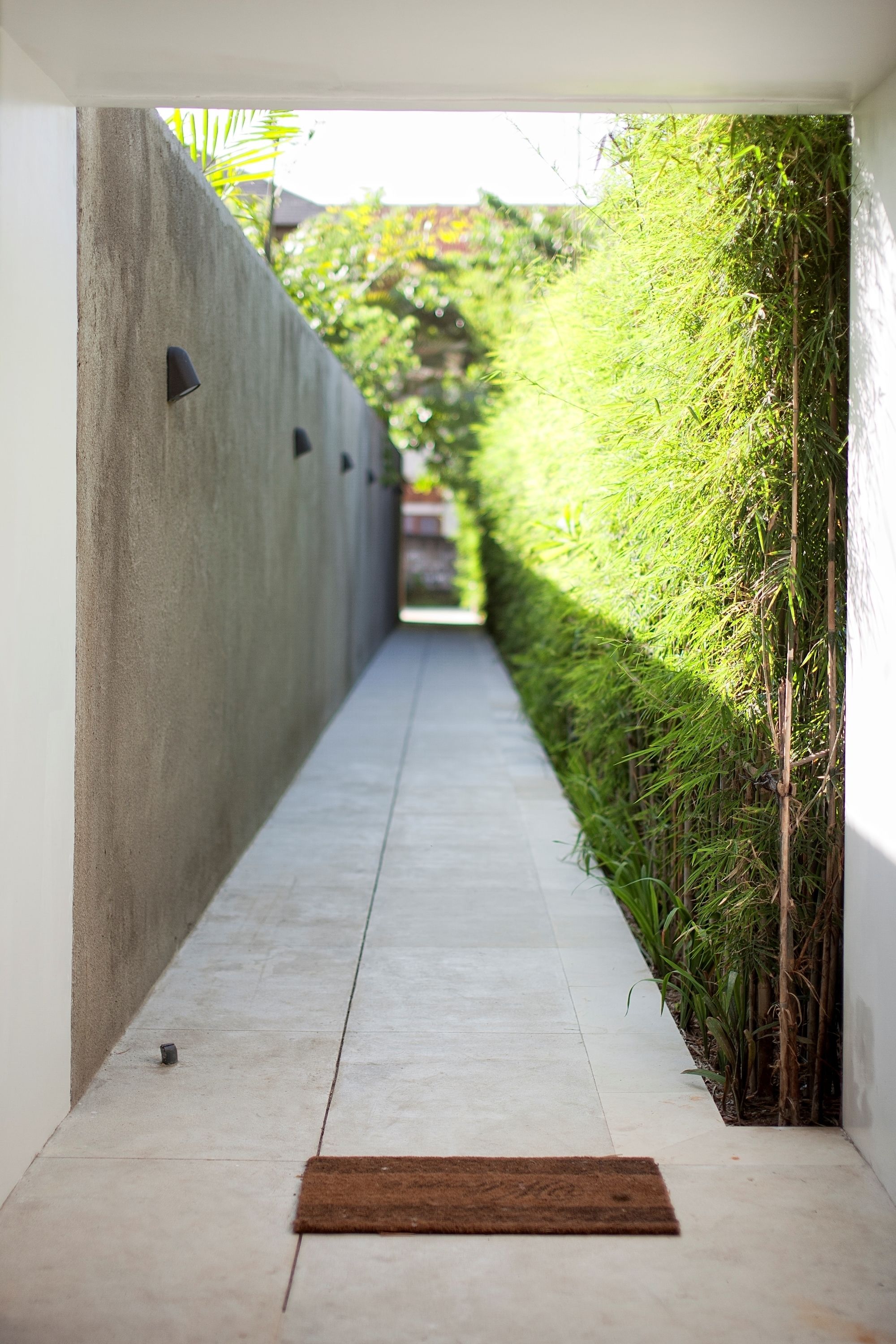 A narrow pathway flanked by a concrete wall and a bamboo hedge, leading to a door.
