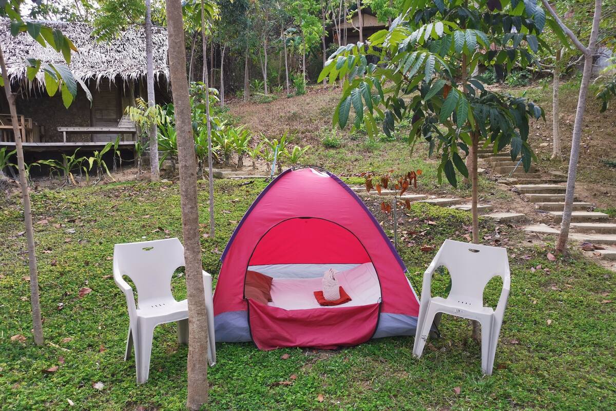 Zelt, 1 Schlafzimmer, Strandnähe