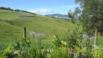 A rural landscape with rolling hills, a fenced field, and a variety of vegetation including ferns and flowering plants.