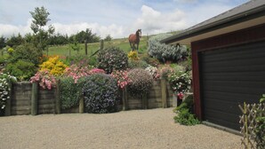 A gravel driveway leading to a wooden fence with a horse in the background.