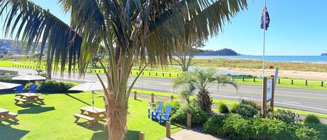 Premium Studio, Non Smoking, Kitchen | Terrace/patio