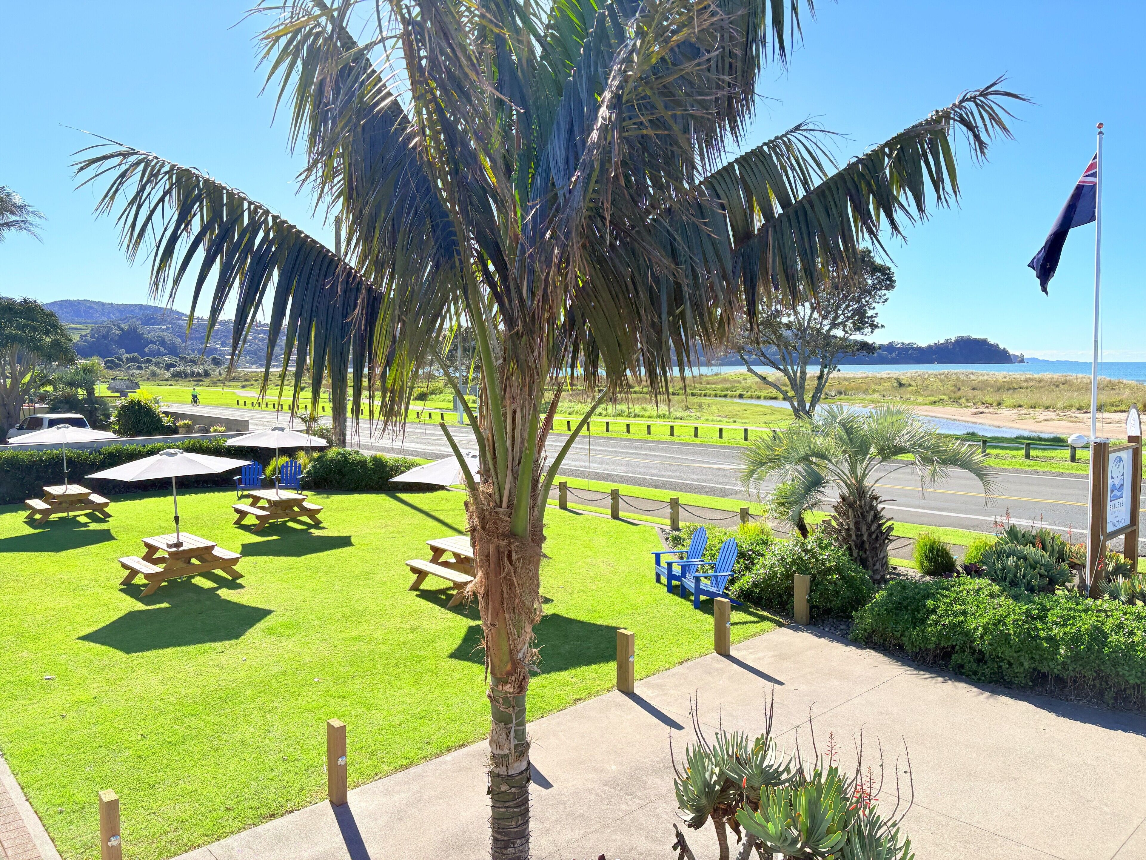 premium studio, non smoking, kitchen | 1 bedroom, pillow-top beds, iron/ironing board, free wifi