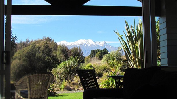 Une vue sur une montagne, avec une chaise et des plantes au premier plan.