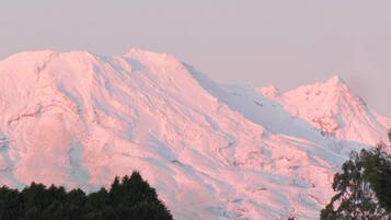 A snow-covered mountain with a forest at its base.