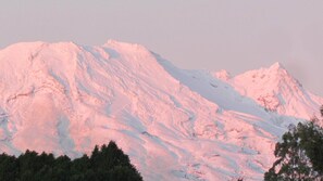 A snow-covered mountain with a forest at its base.