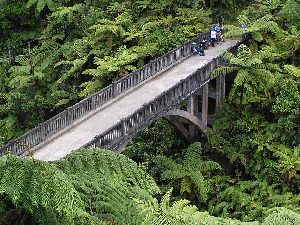 Un pont enjambant une forêt dense, parsemée de fougères et entourée de verdure.
