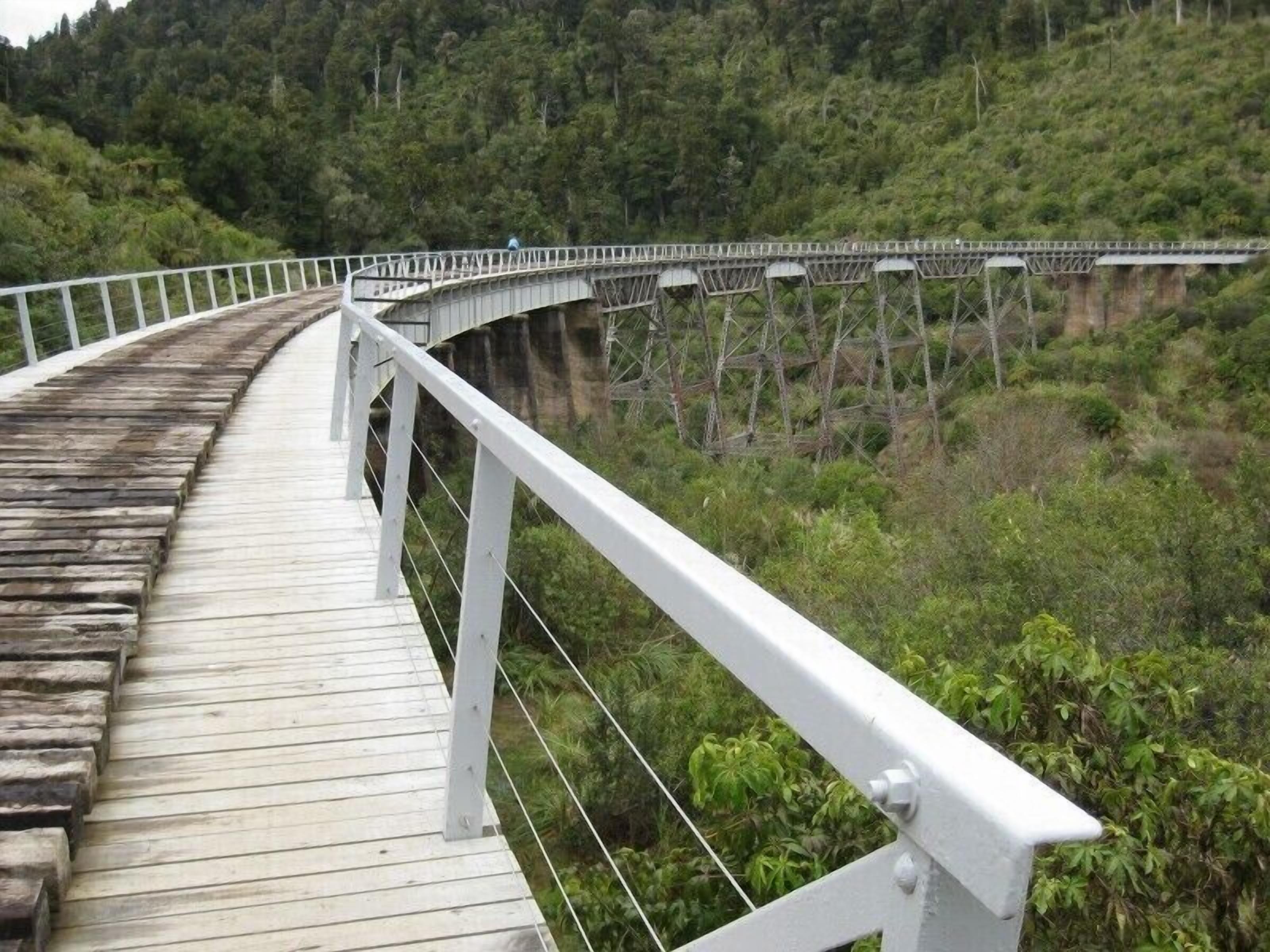 A wooden pedestrian bridge with white railings, spanning over a forested area.