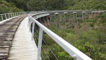 A wooden pedestrian bridge with white railings, spanning over a forested area.