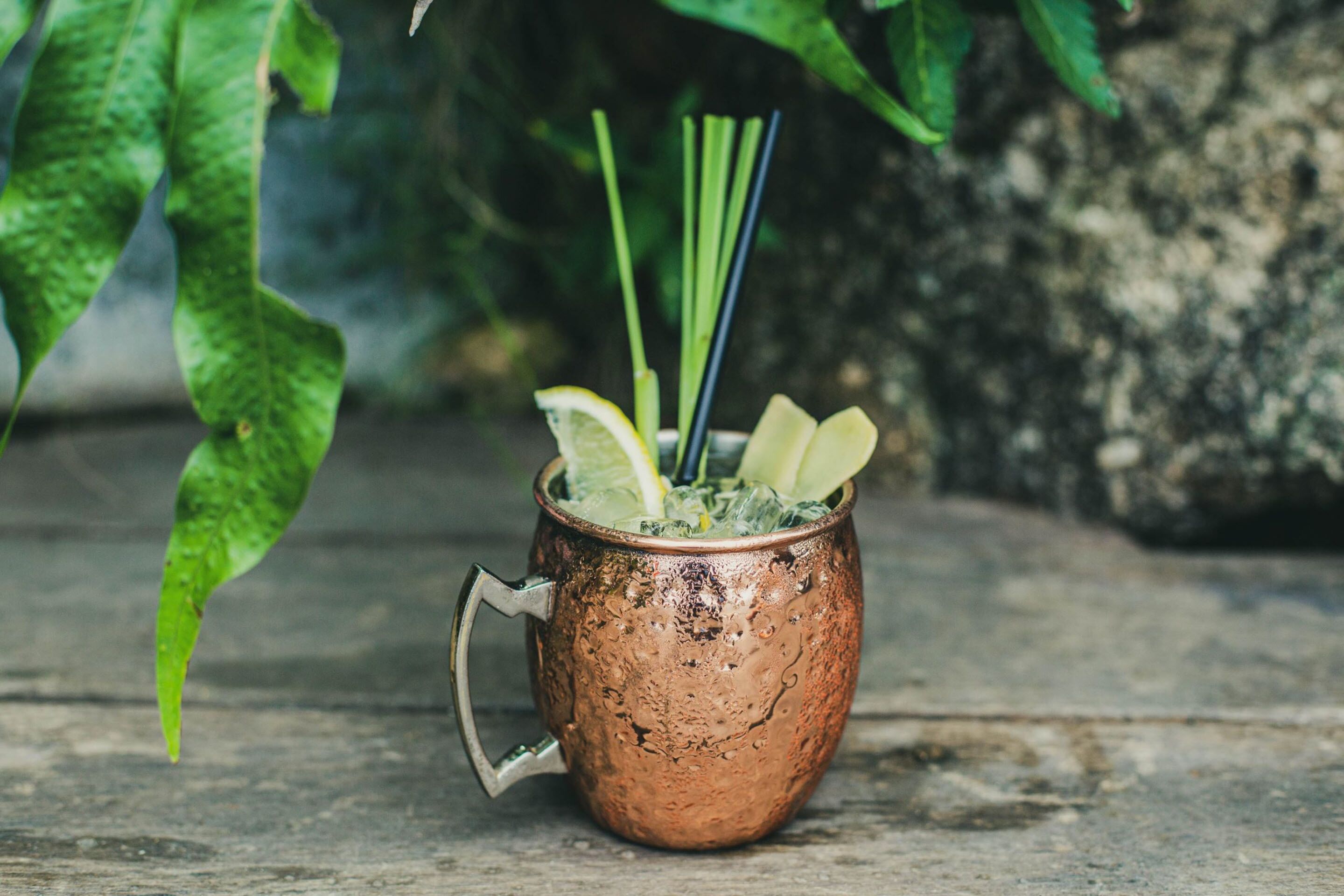 Foto - The Jungle Club - SHA Extra Plus