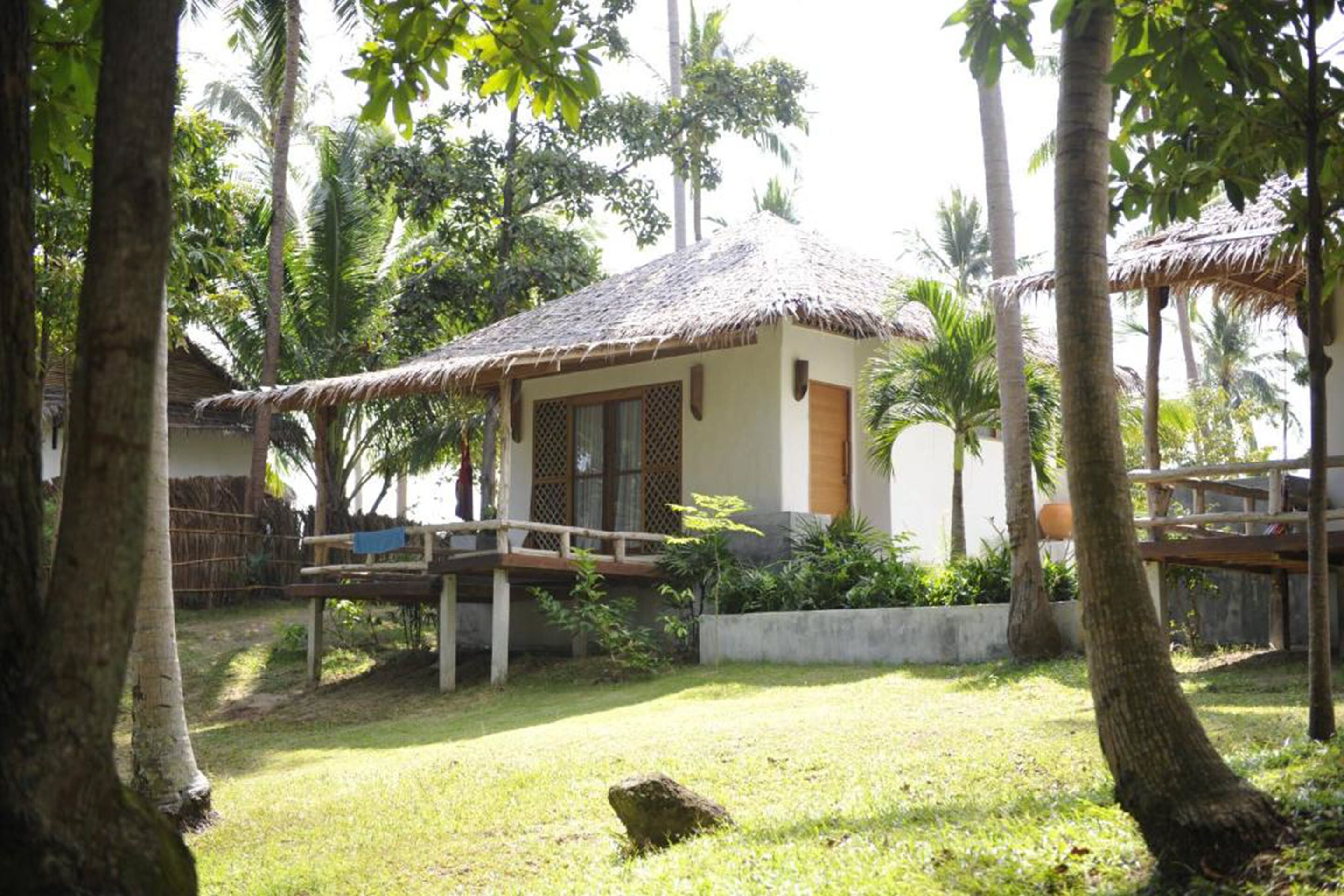 Foto - The Jungle Club - SHA Extra Plus