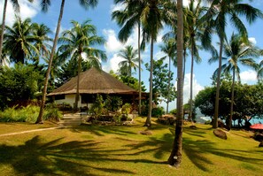 Property grounds - The Jungle Club (Koh Samui)