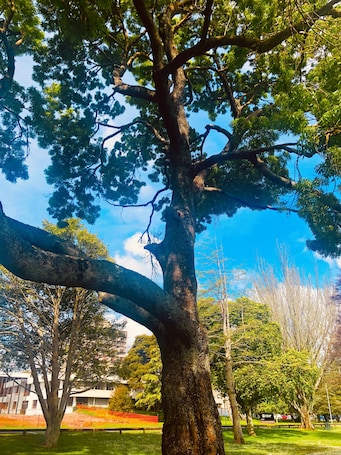 Actividades para niños