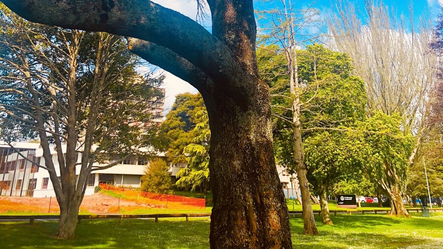 Hacienda Motor Lodge