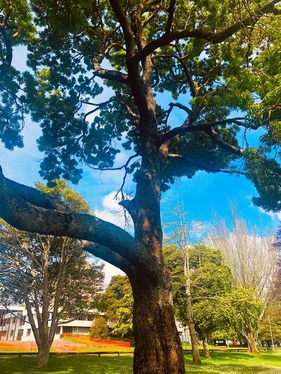 Hacienda Motor Lodge