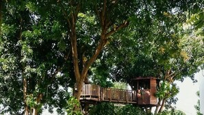 Kawasan hartanah