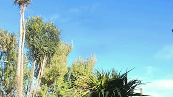 Standard Queen Room (Room 3) | Property grounds