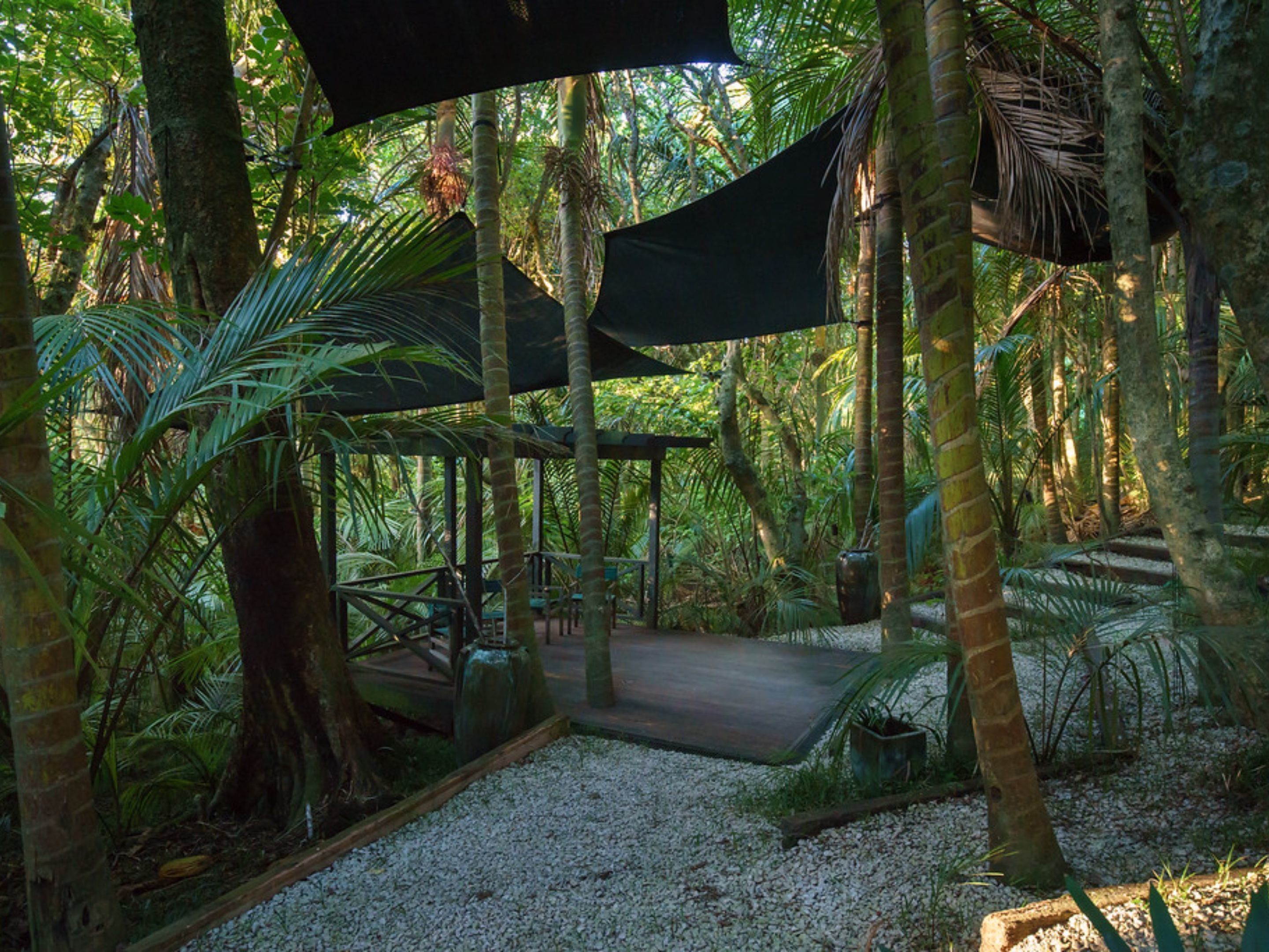 Un espacio al aire libre techado con cubierta de madera, rodeado de exuberante follaje tropical y palmeras.