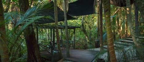 Un espacio al aire libre techado con cubierta de madera, rodeado de exuberante follaje tropical y palmeras.
