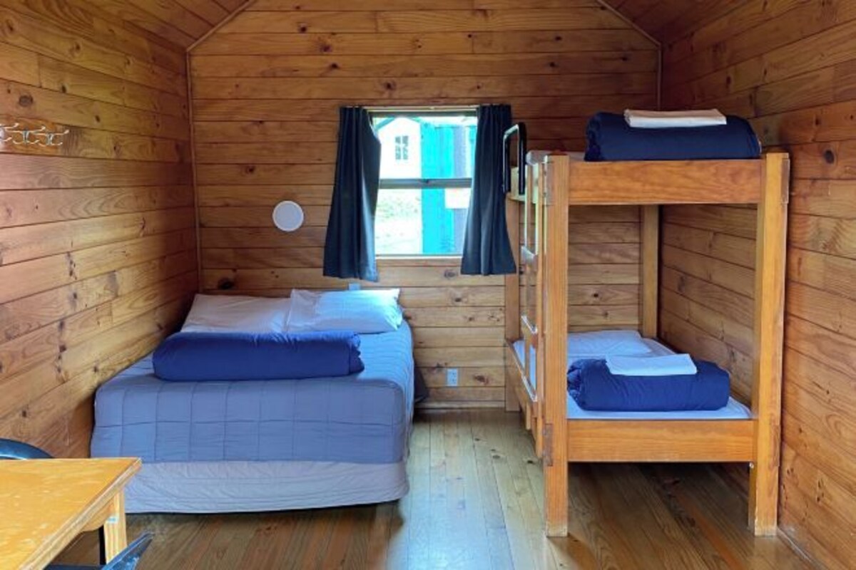 A cabin with two bunk beds, a small table, and a window with curtains.