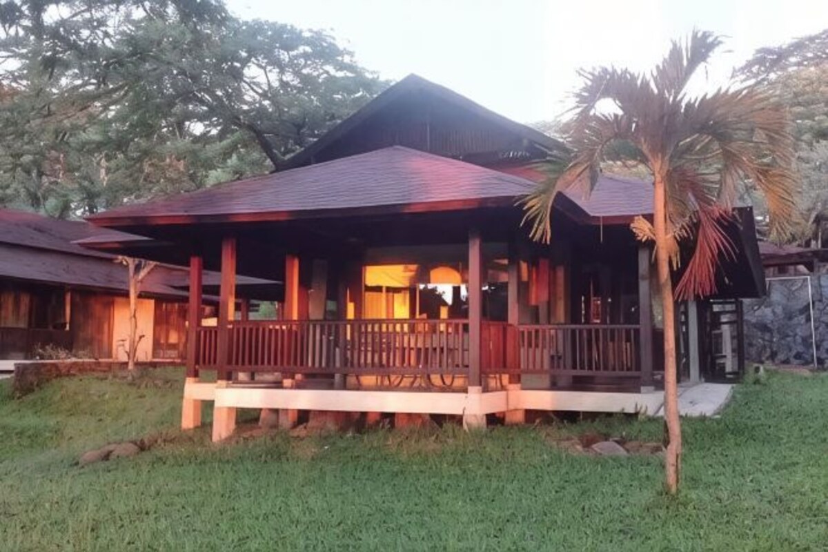A wooden building with a porch, surrounded by greenery and a palm tree.