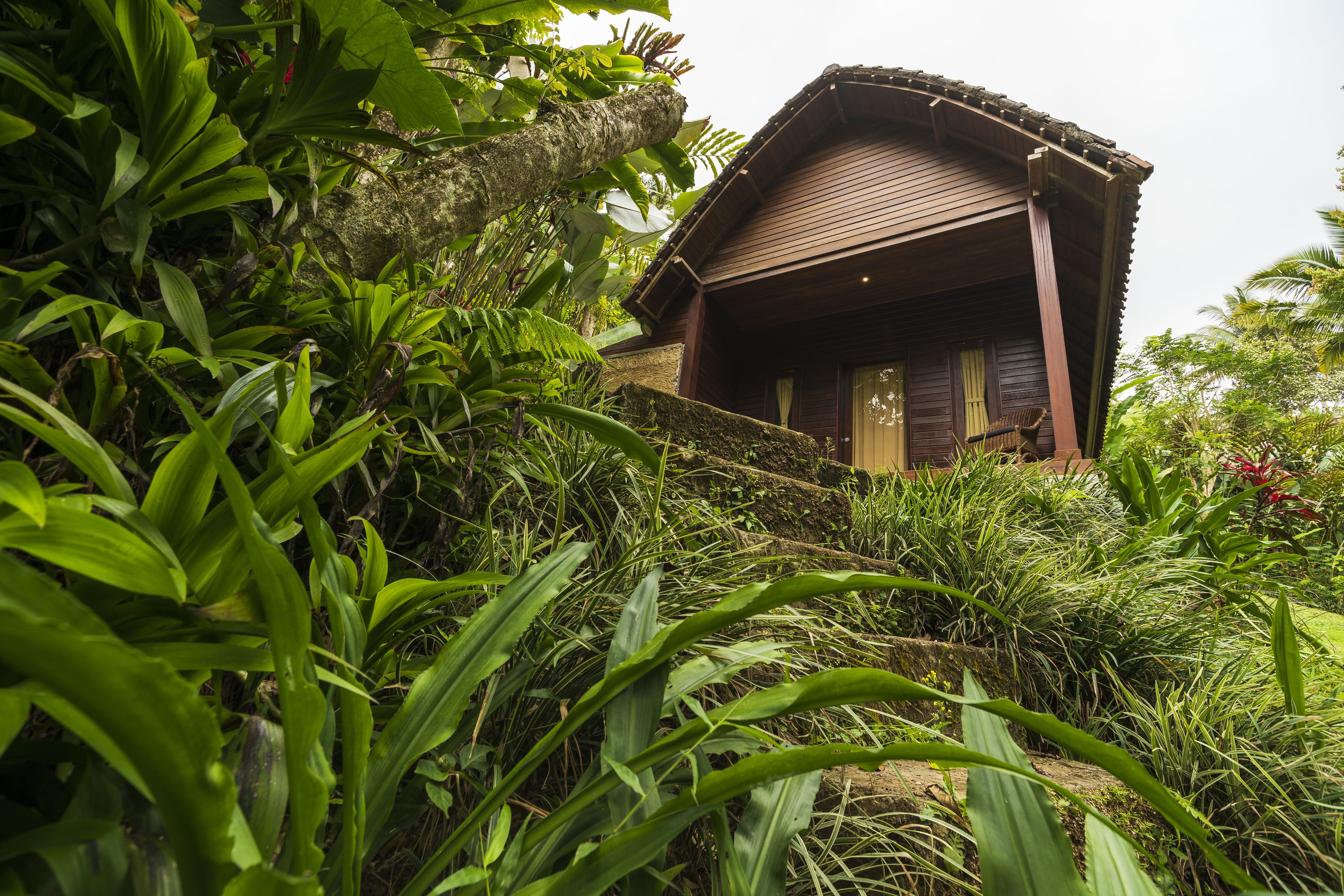 grand deluxe room | 1 bedroom, premium bedding, pillow-top beds, minibar